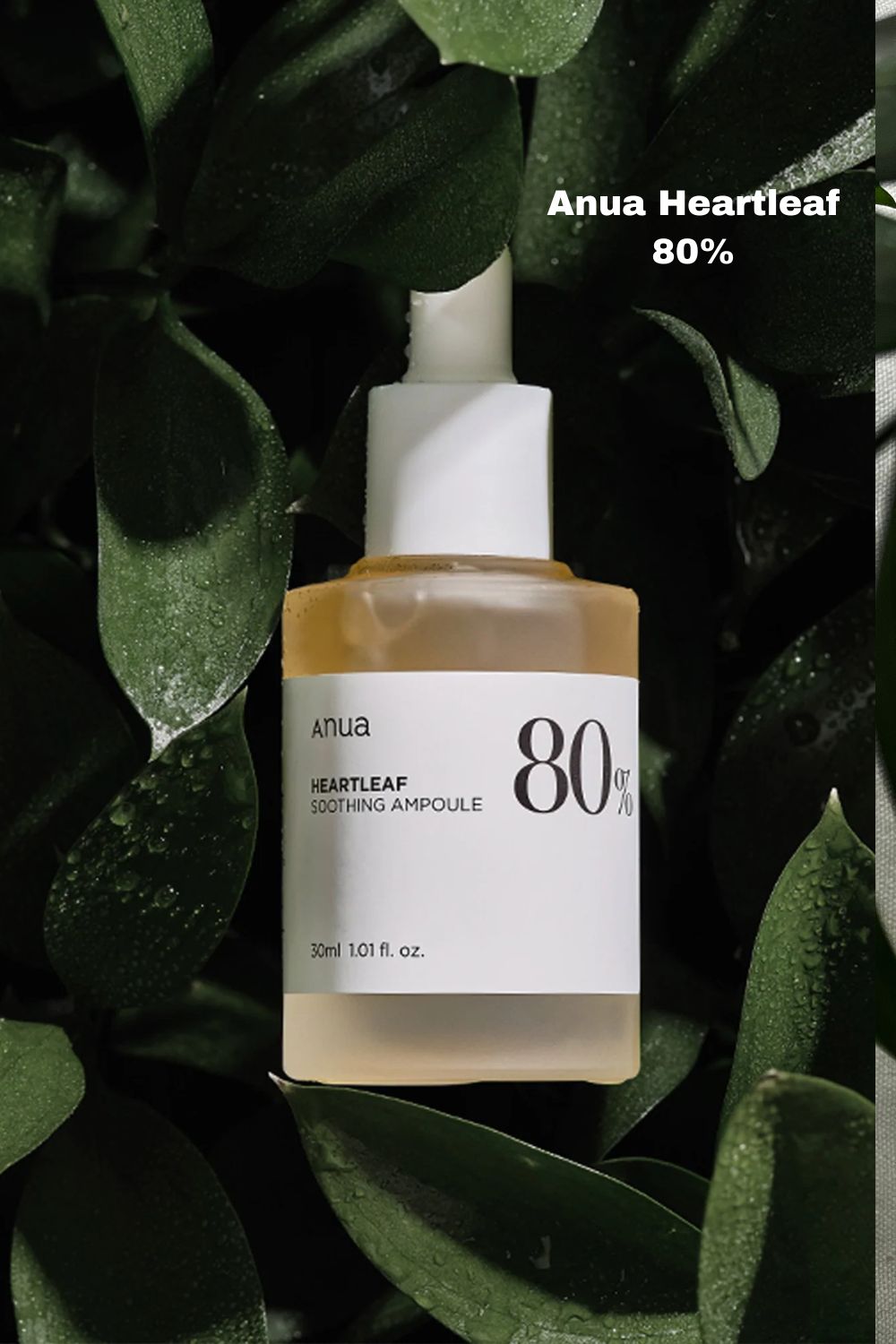 Anua Heartleaf 80% Soothing Ampoule MAAS K-BEAUTY Korean Cosmetics