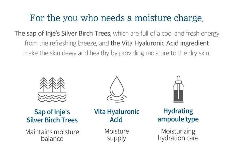 ROUND LAB Birch Juice Moisturizing Toner 300ml ROUND LAB